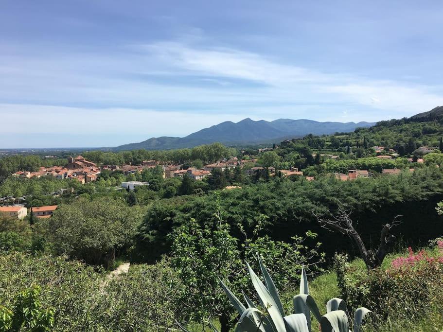Au Coeur De Ville Avec Terrasse Ceret Ngoại thất bức ảnh