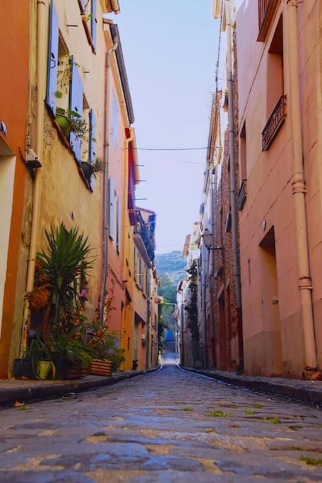 Au Coeur De Ville Avec Terrasse Ceret Ngoại thất bức ảnh
